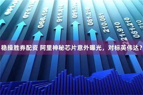 稳操胜券配资 阿里神秘芯片意外曝光，对标英伟达？