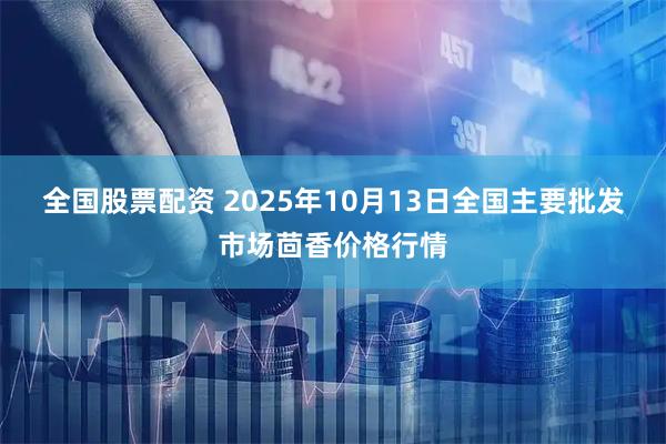 全国股票配资 2025年10月13日全国主要批发市场茴香价格行情