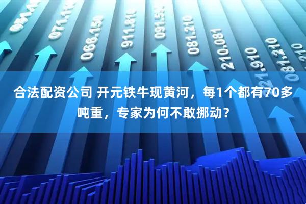 合法配资公司 开元铁牛现黄河，每1个都有70多吨重，专家为何不敢挪动？
